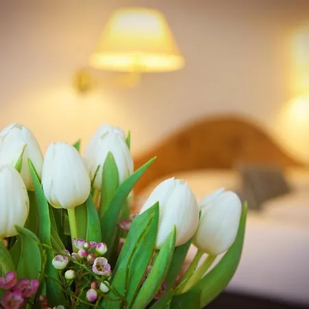 Отель Concordia Vitalhotel & Spa