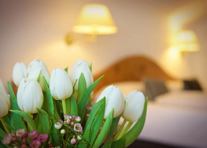 Hotel Concordia Vitalhotel &